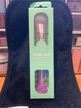 Cheek Duo Brush - Mint Handle with Purple Bristles